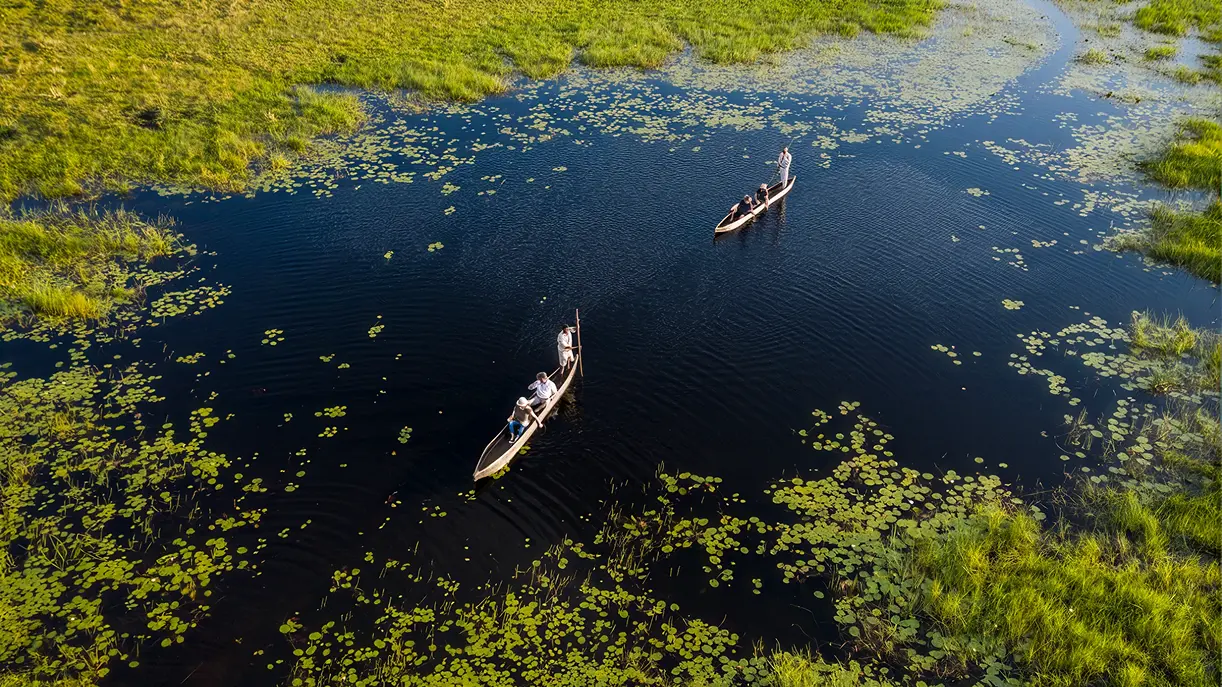 Embrace the Rhythm of Nature